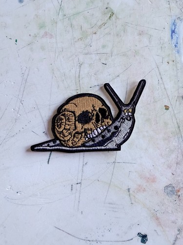 Totenkopf muschel schnecke - totenkopf,
