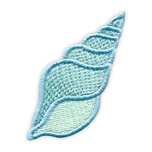 Schöne tulpenmuscheln - schöne,